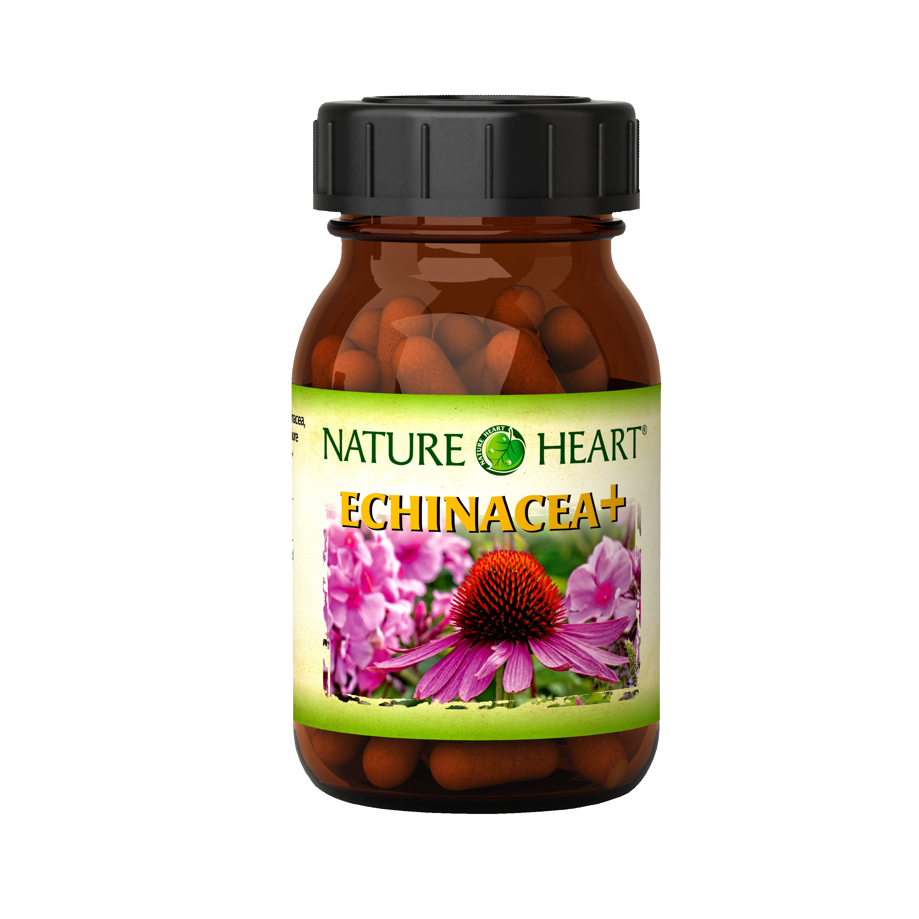 Nature Heart Echinacea + Биологически активная добавка с экстрактами избранных растений, гриба шиитаке и фолиевой кислотой, 60 капсул