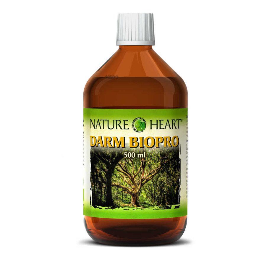 Nature Heart Darm Biopro Ферментированный напиток из 22 сортов фруктов, овощей и трав органического качества, 500 мл